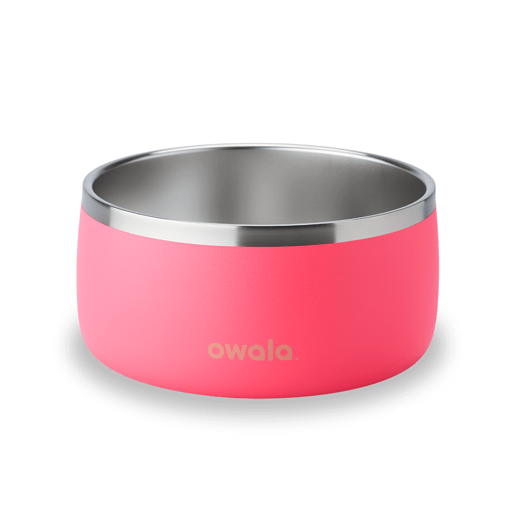 Refined Pet Bowl | A17ZOIU7