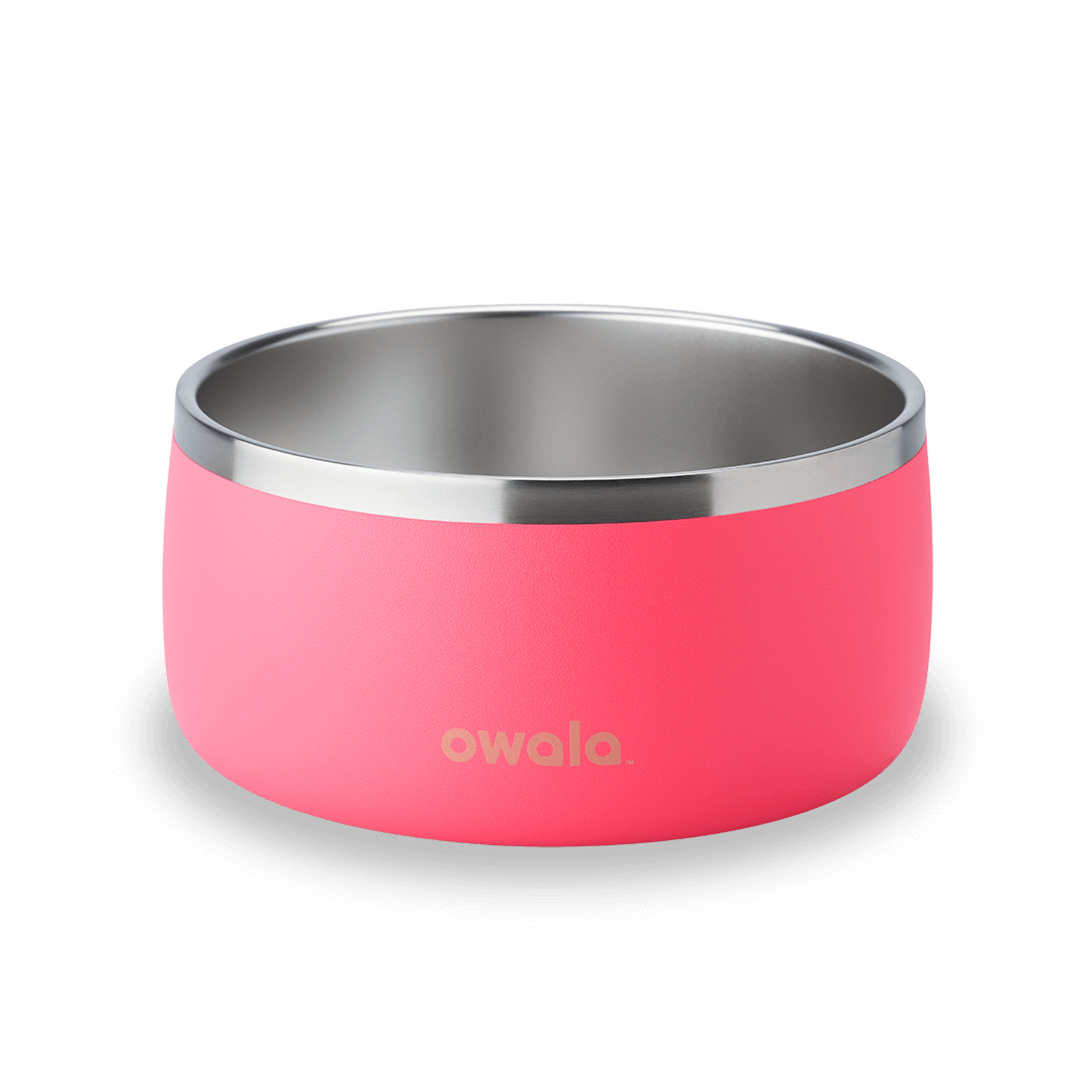 Refined Pet Bowl | A17ZOIU7