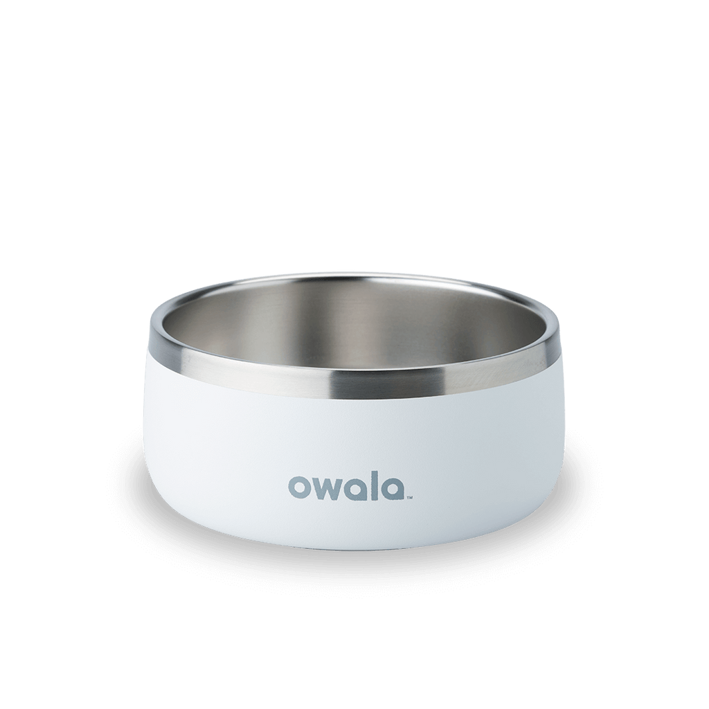 Refined Pet Bowl | A17ZOIU7