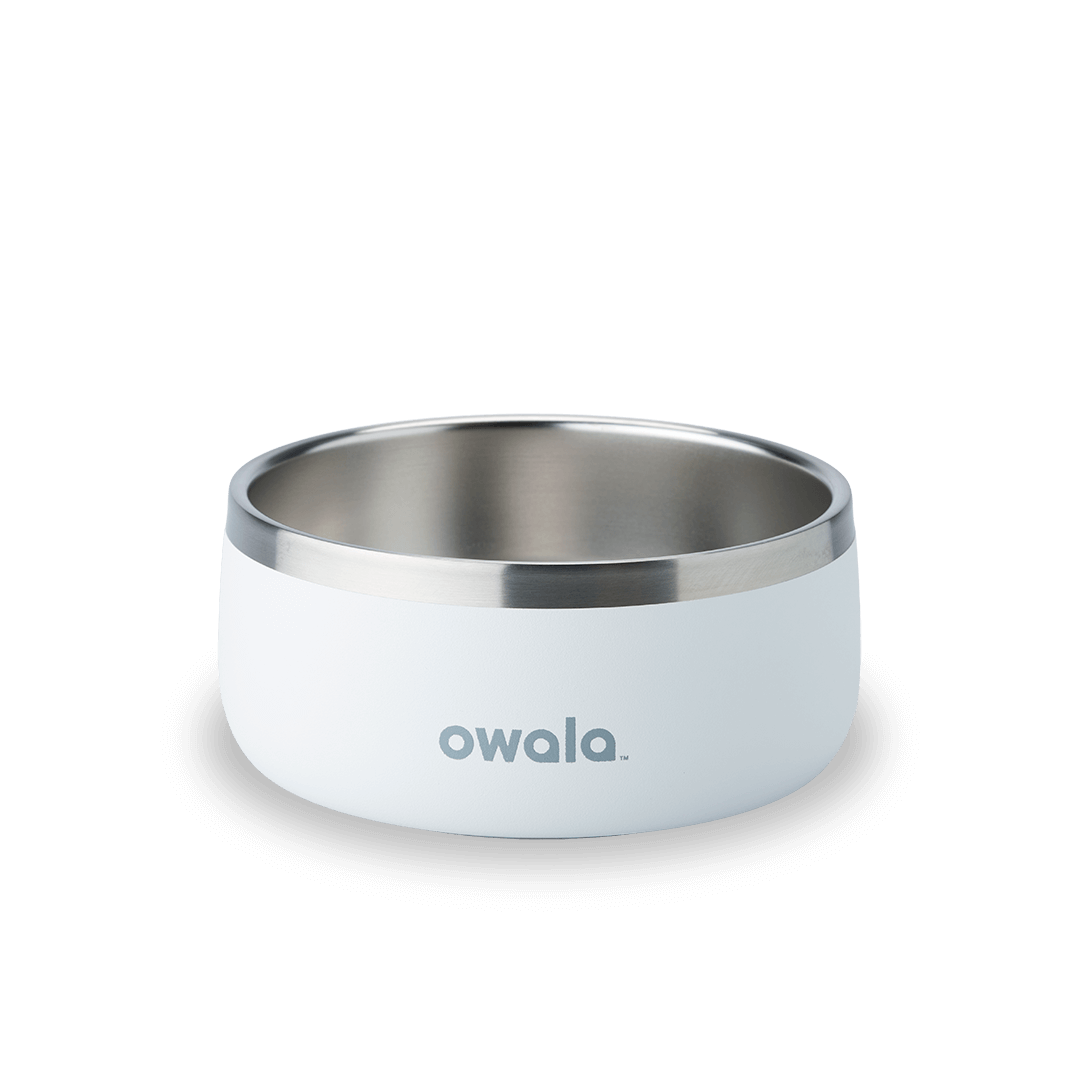 Refined Pet Bowl | A17ZOIU7