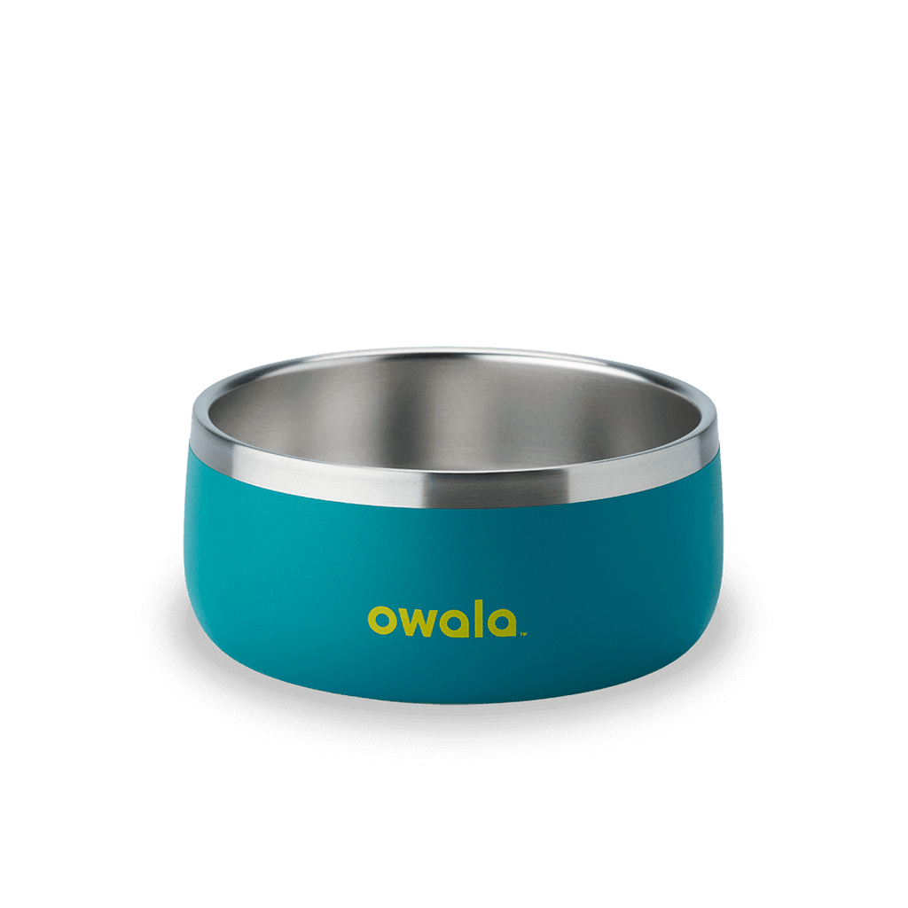 Refined Pet Bowl | A17ZOIU7