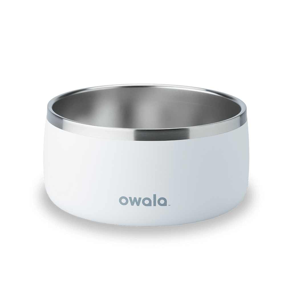 Refined Pet Bowl | A17ZOIU7